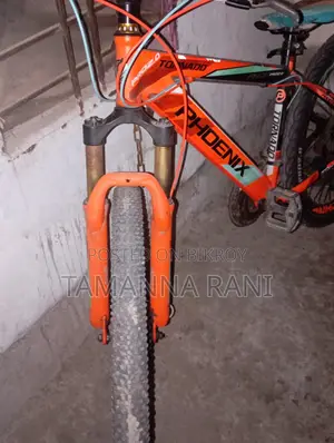 ফোনেক্স সাইকেল