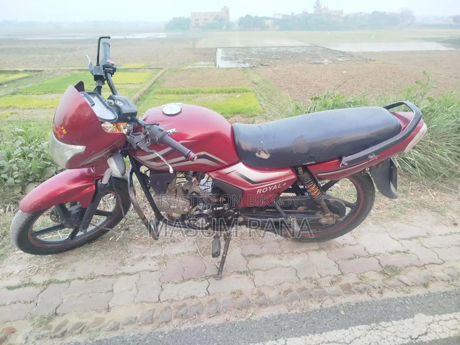 Dayang Runner Other Model . 2019