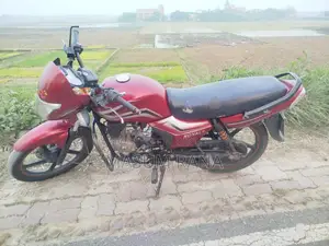 Dayang Runner Other Model . 2019