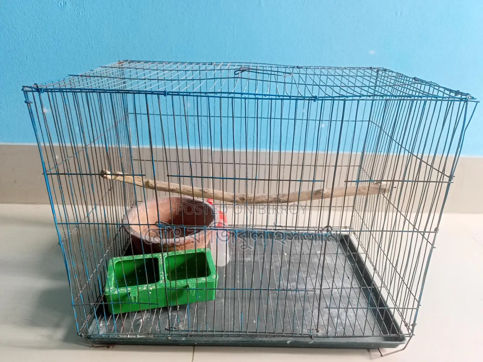 Full Bird Cage Setup