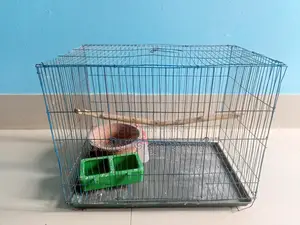 Full Bird Cage Setup