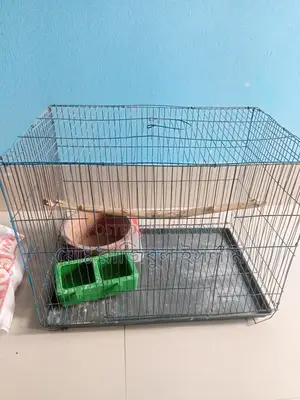 Full Bird Cage Setup