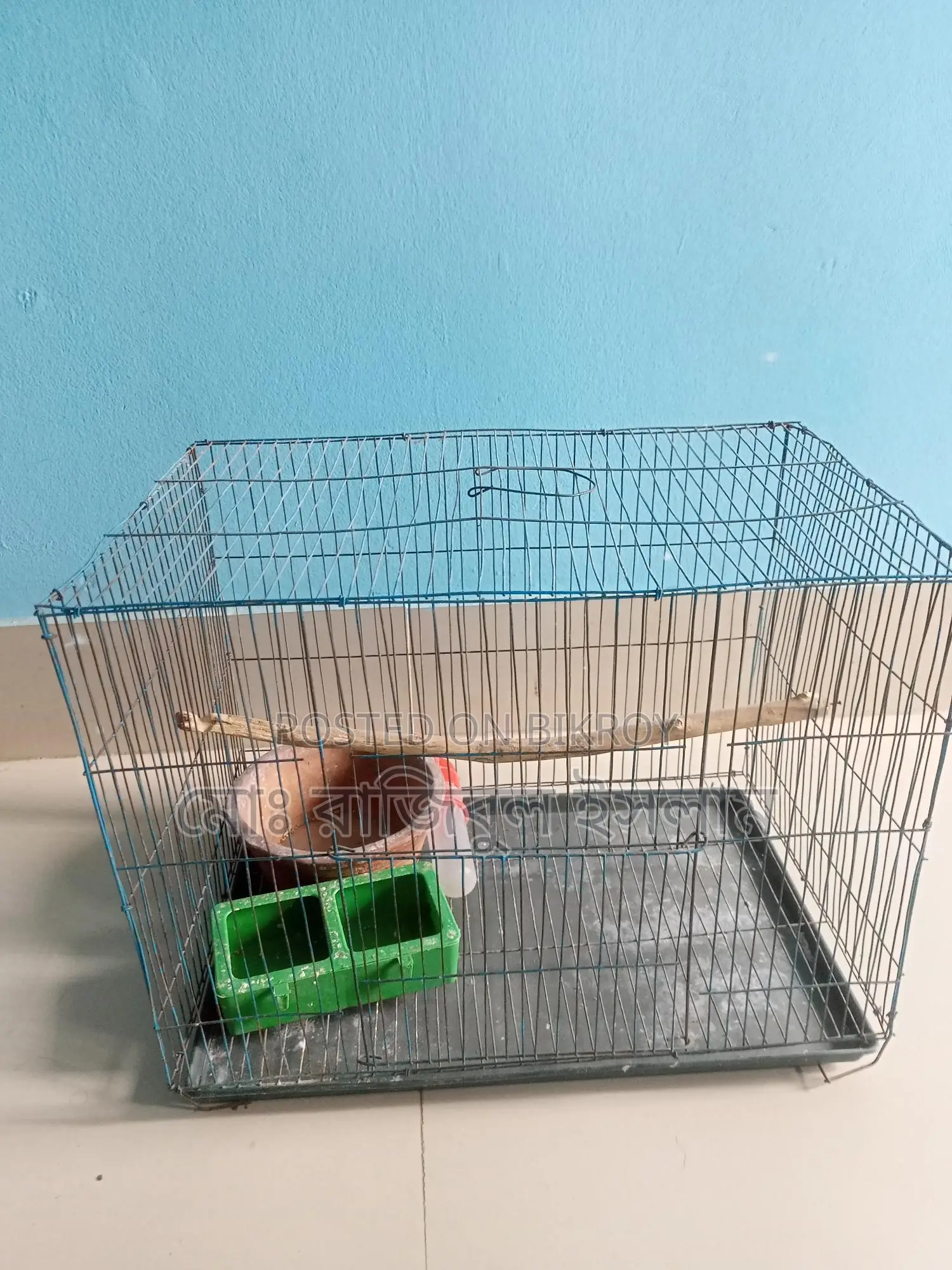 Full Bird Cage Setup