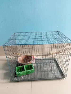 Full Bird Cage Setup