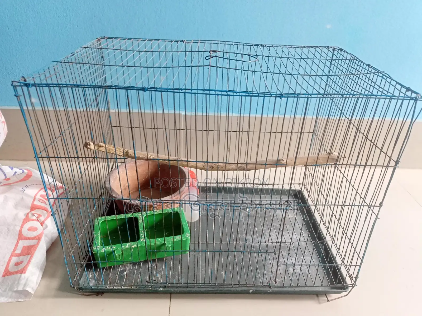Full Bird Cage Setup