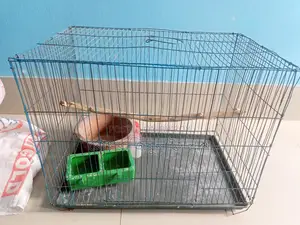 Full Bird Cage Setup