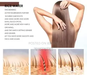 Personal Care Rice Water Hair Shampoo