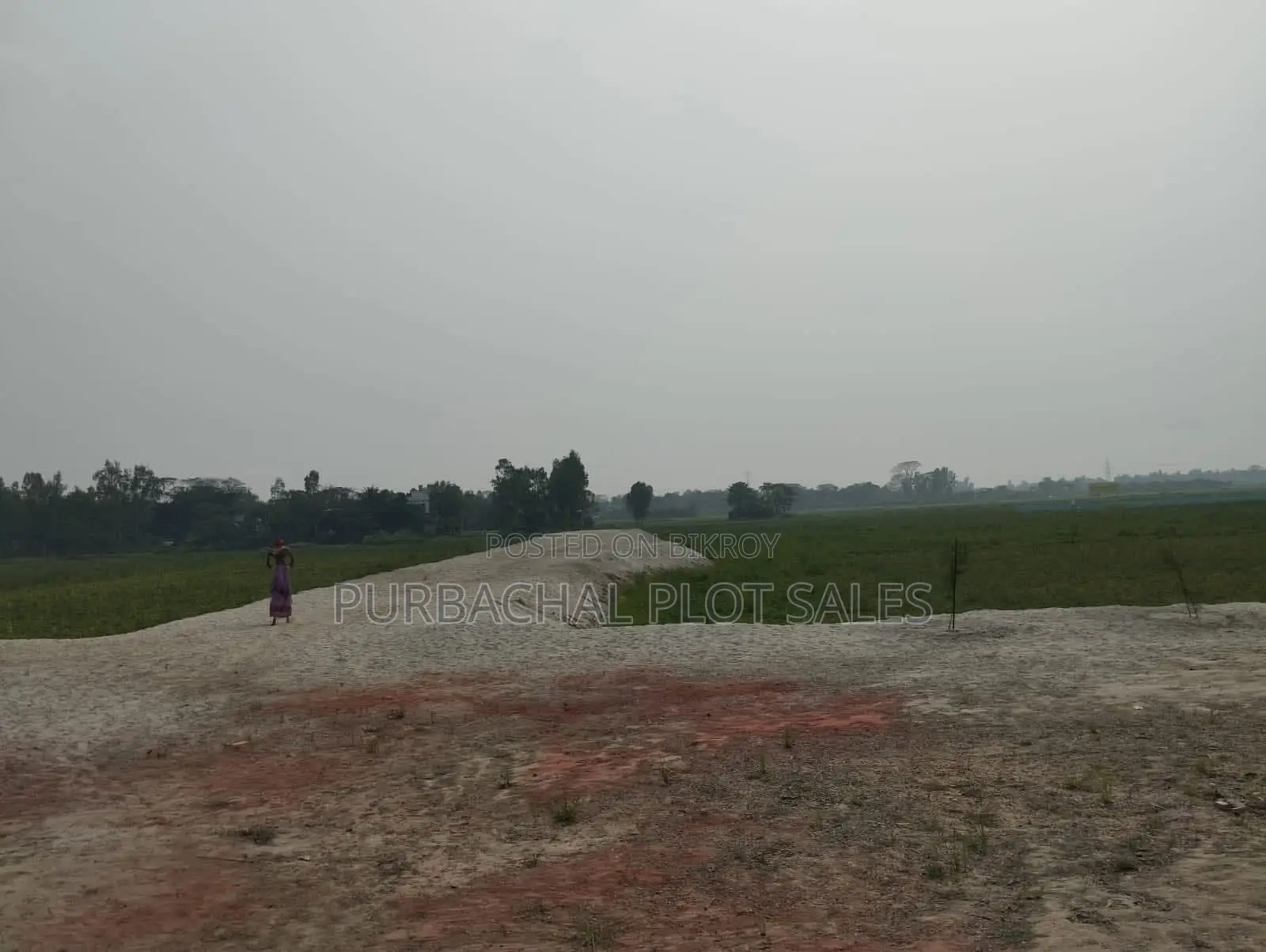 প্লট কিনুন বীরতারা city