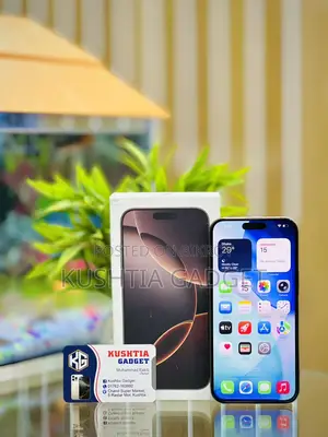 Apple iPhone 16 Pro Max ১০০% ব্যাটারি (Used)