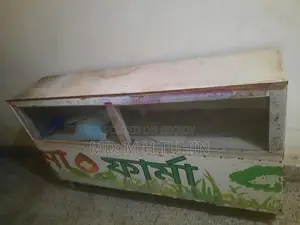 Pharmacy Counter