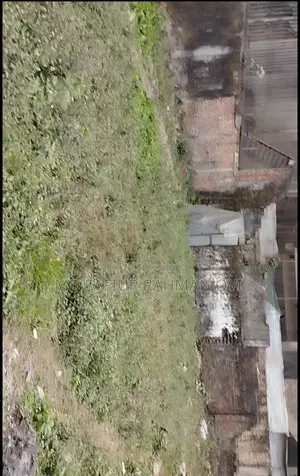 This land is a beautiful commercial plot