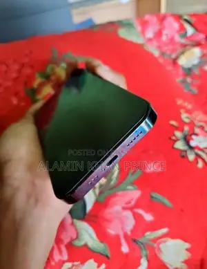 Apple iPhone 12 Pro (Used)