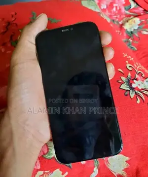 Apple iPhone 12 Pro (Used)