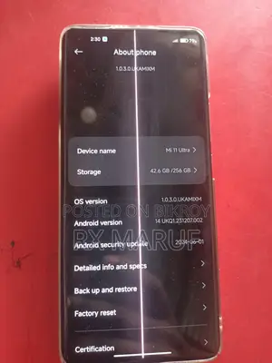 Xiaomi Mi 11 Ultra 12/256 (Used)