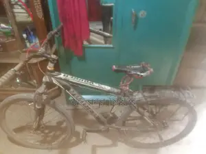 Bicycle with Gears