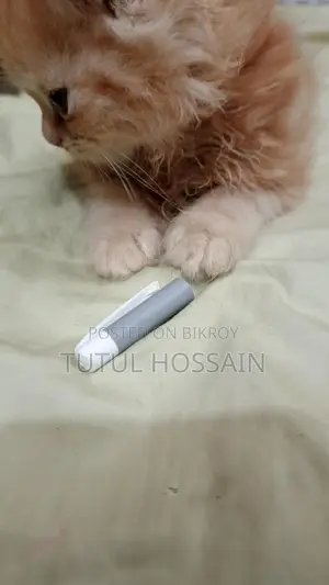 White and Brown Color