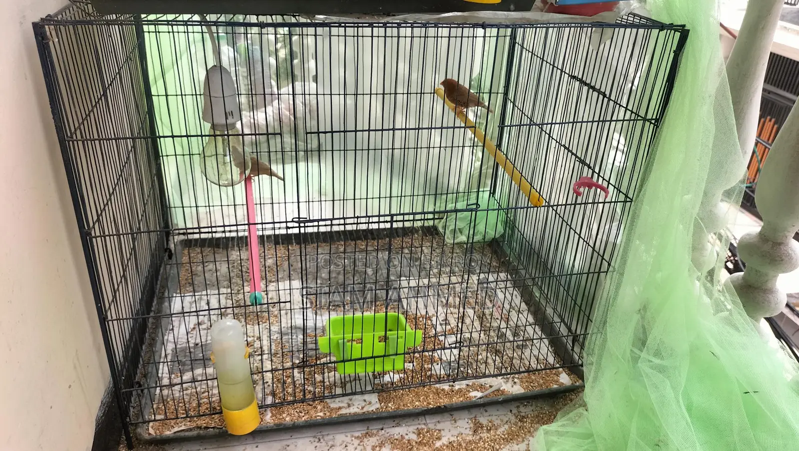 18/24 Size Cage Almost New