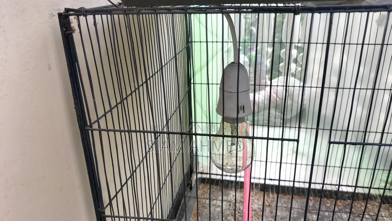 18/24 Size Cage Almost New