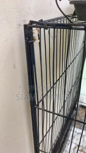 18/24 Size Cage Almost New