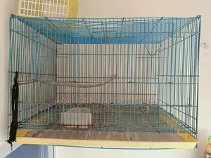 Chaina Cage/খাঁচা