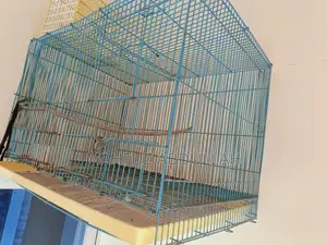 Chaina Cage/খাঁচা