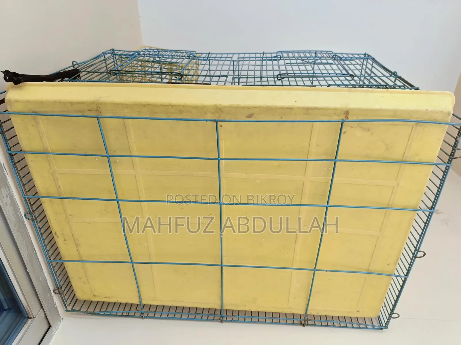 Chaina Cage/খাঁচা