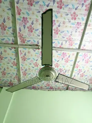 Friz, Fan,combo