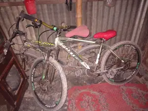 Bicycle for Sale