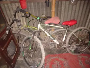 Bicycle for Sale