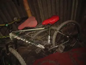 Bicycle for Sale