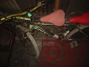 Bicycle for Sale