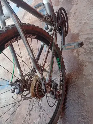 Bicycle for Sale