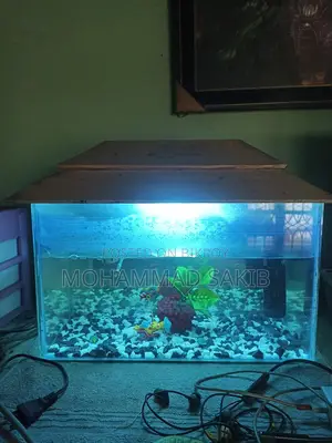 Aquarium for Sale
