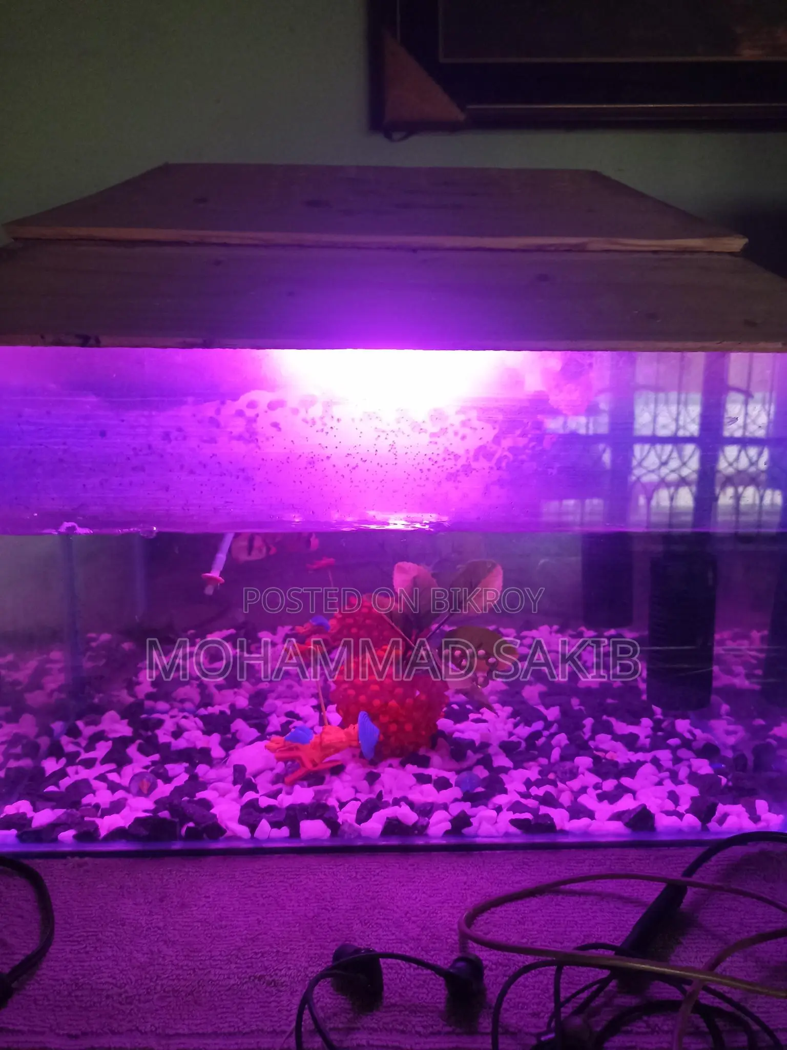 Aquarium for Sale