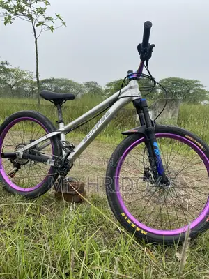 Boarse Sun 6.1 Cycle For Sell