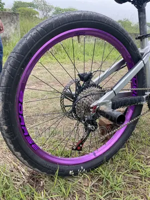 Boarse Sun 6.1 Cycle For Sell
