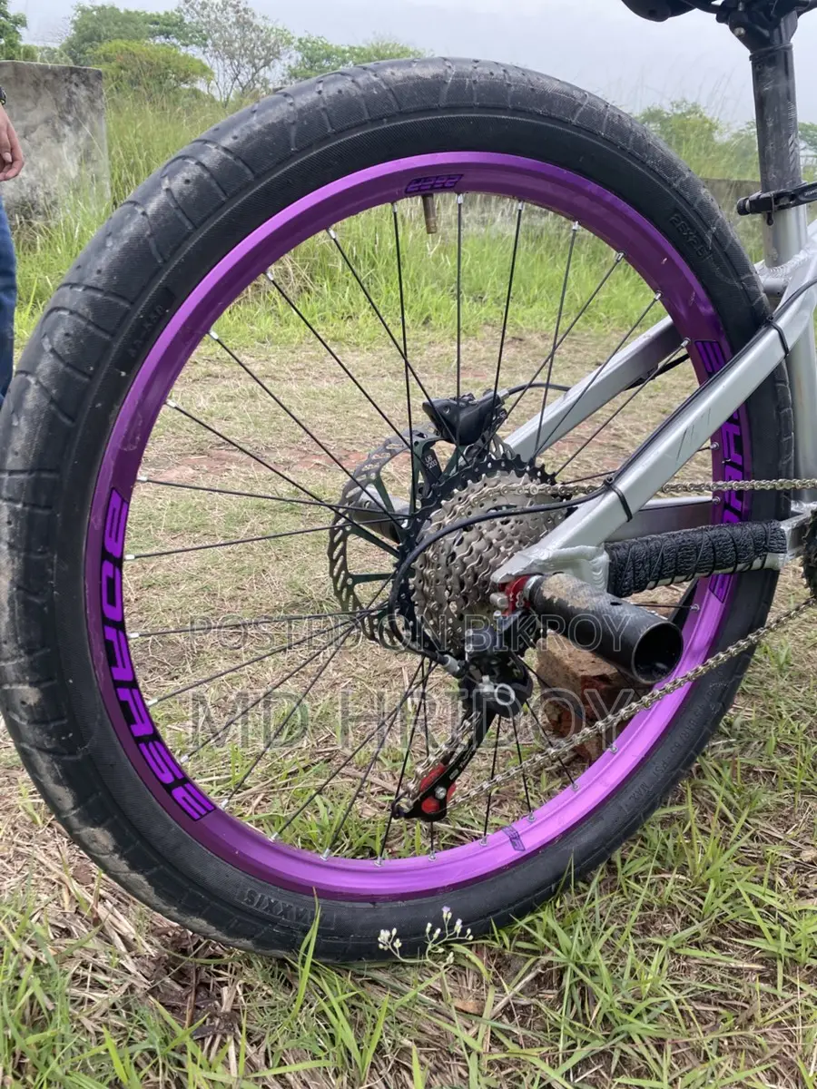 Boarse Sun 6.1 Cycle For Sell