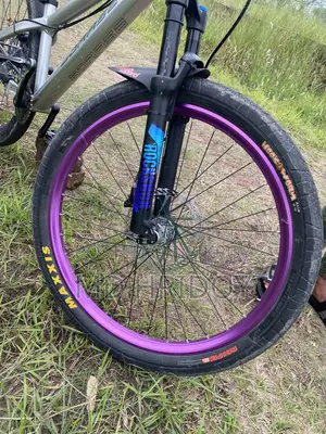 Boarse Sun 6.1 Cycle For Sell