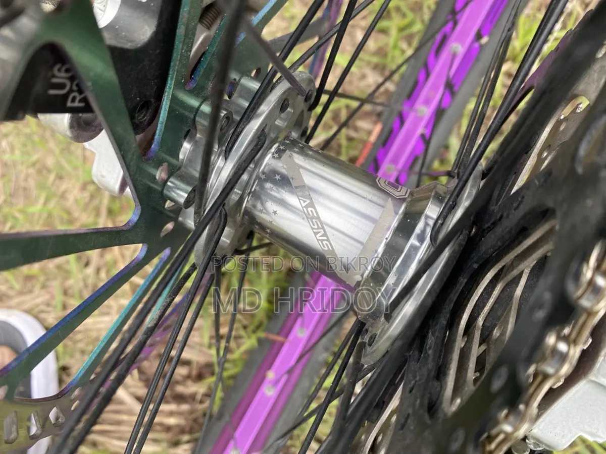 Boarse Sun 6.1 Cycle For Sell