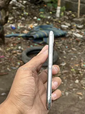 Apple iPhone X (Used)