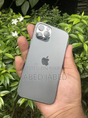 Apple iPhone 12 Pro (Used)