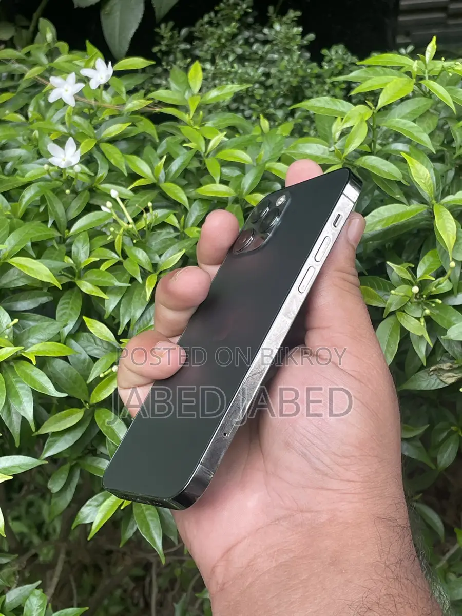 Apple iPhone 12 Pro (Used)