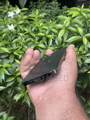 Apple iPhone 12 Pro (Used)