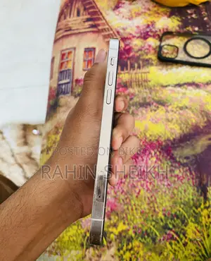 Apple iPhone 12 Pro (Used)
