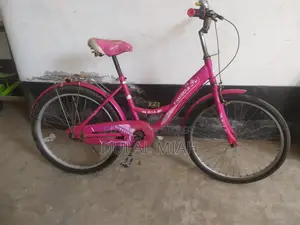24-inch Non-Gear Ladies' Cycle for Sale