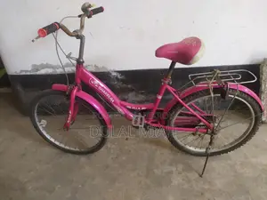 24-inch Non-Gear Ladies' Cycle for Sale