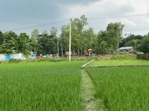 Land for Sale in Dhap Mouza, Rangpur at an Affordable Price