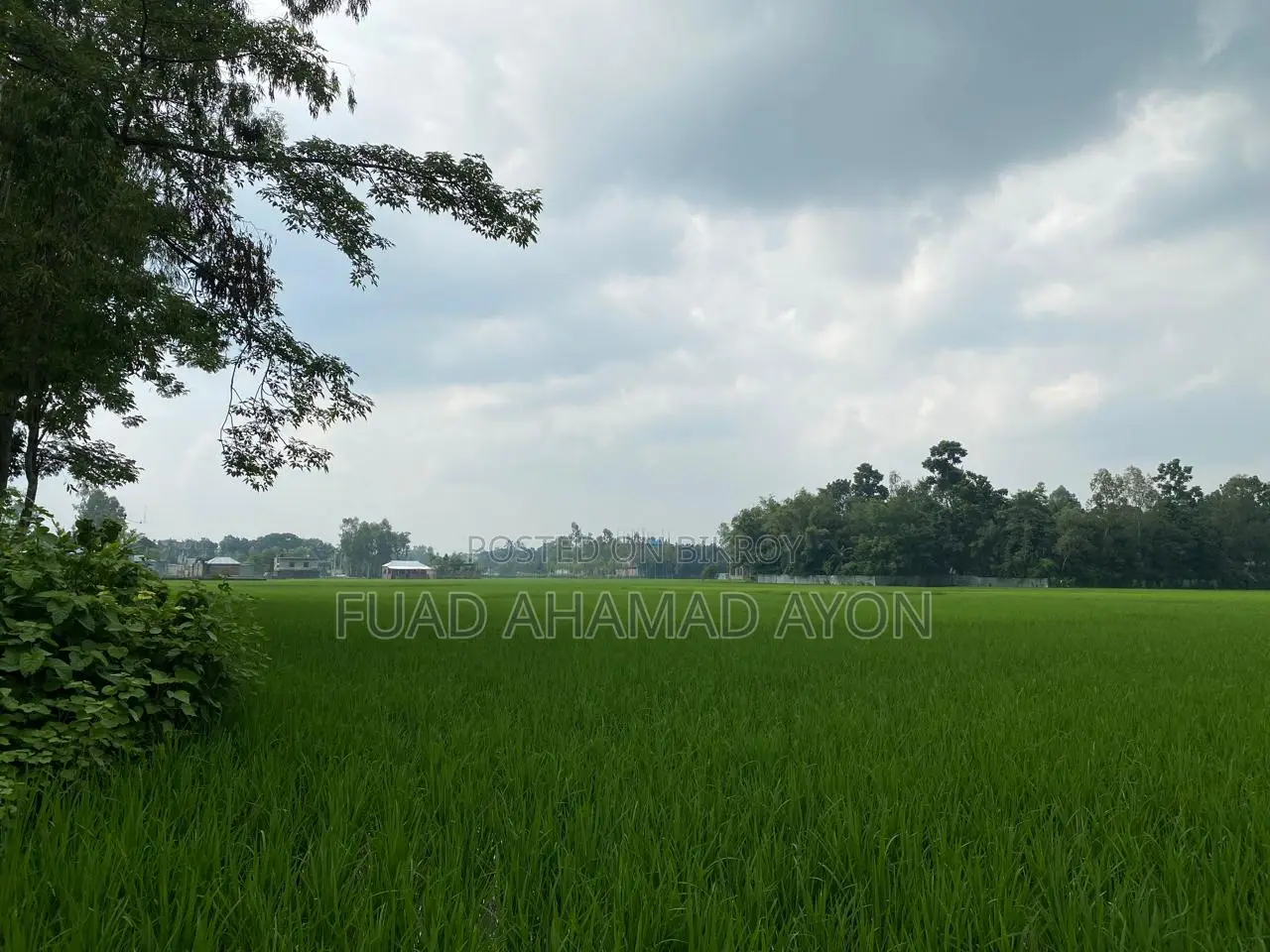 সাশ্রয়ী মূল্যে রংপুরে ধাপ মৌজার জমি বিক্রয়