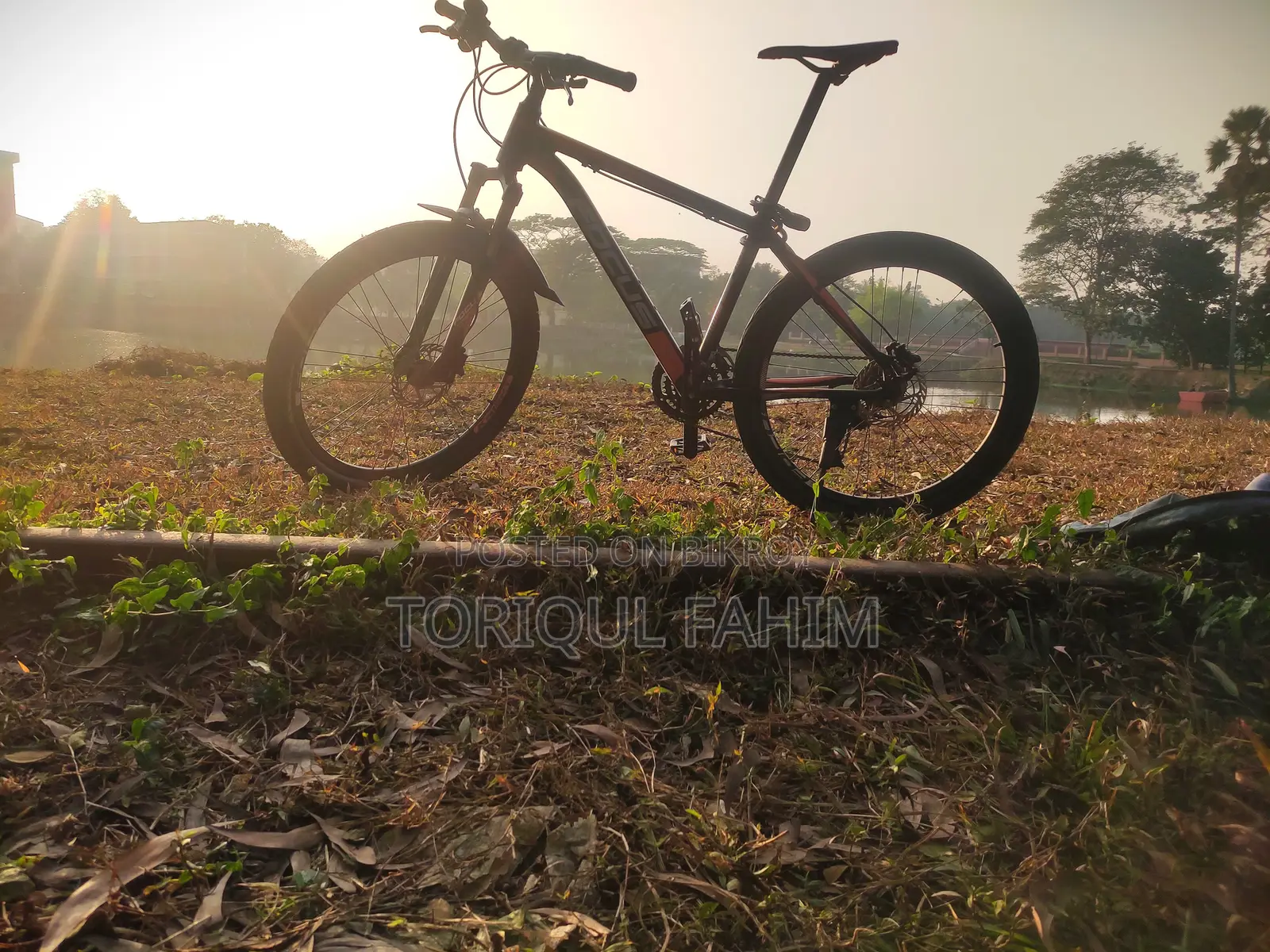 Focus Mountain Bike, Oil Brake
