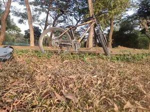 Focus Mountain Bike, Oil Brake
